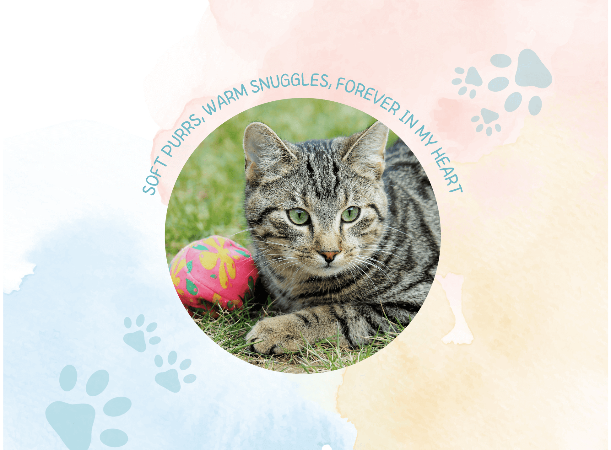 Personalised cat memorial plaques